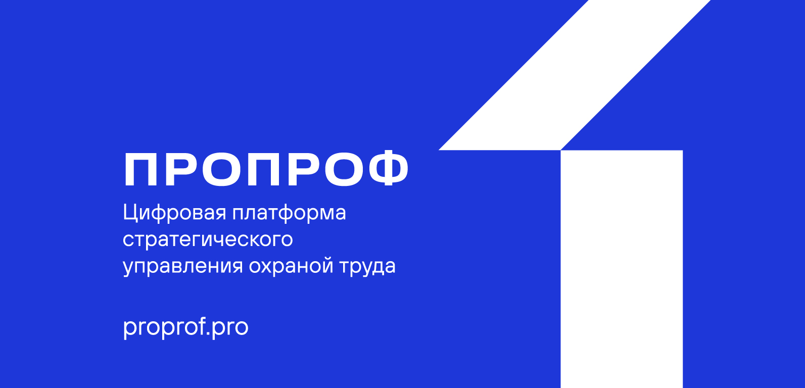 Логотип ПроПроф